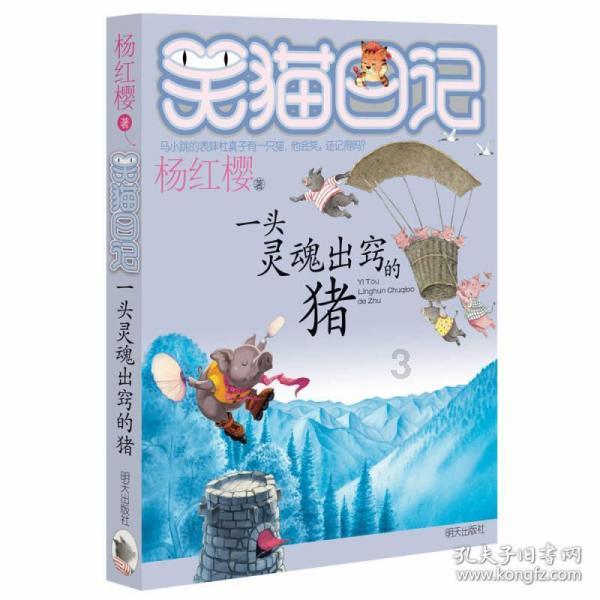 冲浪骑士