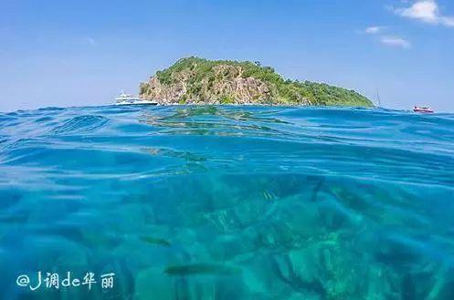 小猫钓鱼游戏龙王版有船