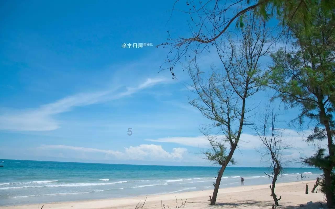 探索炸鸡翅用什么粉炸的更酥脆知识星球,解锁精彩学习之旅!