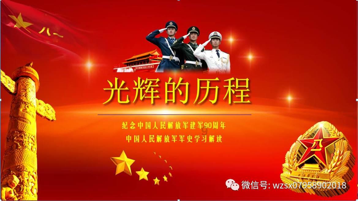 寻找萌宠松鼠