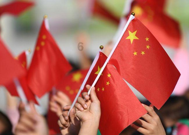 救援可爱小猪仔