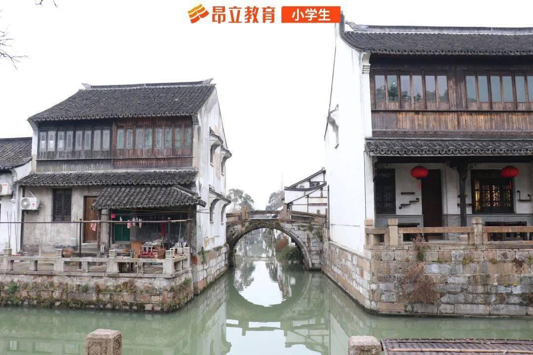 17万亩青菜头喜获丰收